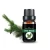 Import Pine Oil Pure Essential Oil For Cosmetic And Pharmaceuticals Pine Needle Oil from China