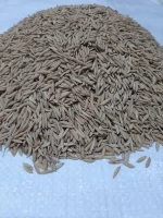 paddy rice and rice for sell from Iran