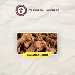 Galangal Root