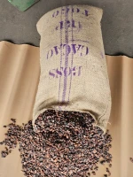 Premium Cocoa Beans from West Africa