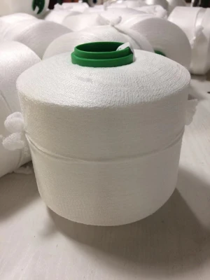 DTY polyester draw texturing yarn raw white in dying tube