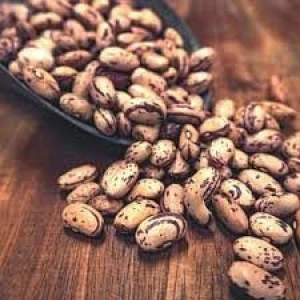 Export Quality Pinto Beans – HACCP/ISO Certified Supplier