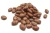 Import Export Quality Pinto Beans – HACCP/ISO Certified Supplier from Kenya