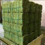 Buy quality Alfalfa Hay cheap price