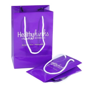 Custom Printed  Logo Packaging Gift  Shopping Paper Bag for healthy products