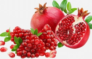 pomegranate fruit