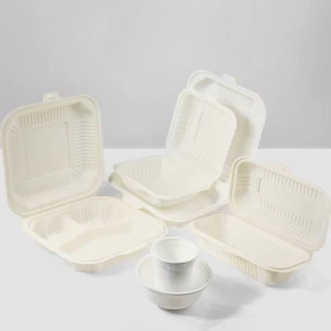 Disposable biodegradable Lunch Box, Takeaway Pulp food containers