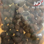 Vietnamese Back Cardamom
