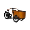 Electric Family Cargo Bike6