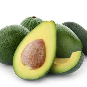 Fresh Avocado available in wholesale prices