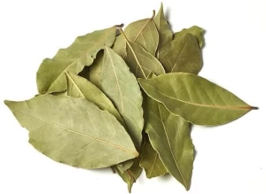 Dry Laurel leaf (Bay Leaves) 25 KG-50 KG