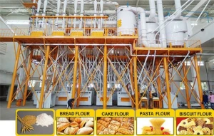 Steel Structure Flour Milling Plant