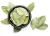 Import Dry Laurel leaf (Bay Leaves) 25 KG-50 KG from Republic of Türkiye