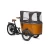 Import Electric Family Cargo Bike6 from China