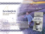 lavender oil bulk
