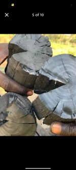 BBQ charcoal