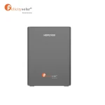 Felicitysolar 1kWh Portable LiFePO4 Backup Power Supply HOPE1000（250W Rated Power）