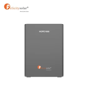 Felicitysolar 1kWh Portable LiFePO4 Backup Power Supply HOPE1000（250W Rated Power）