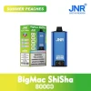 Bulk Wholesale JNR Big Mac Shisha 80K Summer Peaches