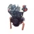 Import Howo Spare Parts Engine from China
