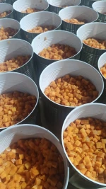 Canned Carrots