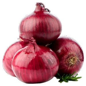Red Onion Top Quality Red Onion Factory Direct Supply Fresh Onion Low Price