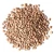 Import Bulk Supply Whole Masoor Dal Fresh Dried Brown Lentils 25kg PP Bags For Wholesalers from Tanzania