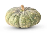 Fresh Pumpkin for Wholesale Supply | Export Grade Tropical Pumpkin for International Markets