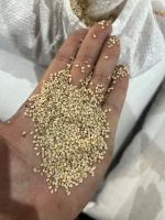 Sesame Seeds