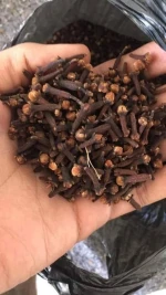 cloves