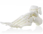Custom plastic products