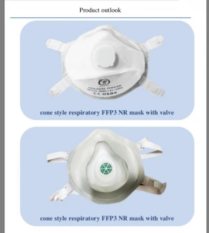 FFP3 Disposable Face Mask