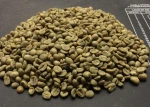 Premium Arabica Coffee Green Beans Fresh Raw Specialty Coffee