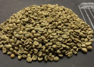 Premium Arabica Coffee Green Beans Fresh Raw Specialty Coffee