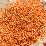 Large Quantity Red Lentils Available for Export Red Lentils Ready for Worldwide Shipping in Bulk