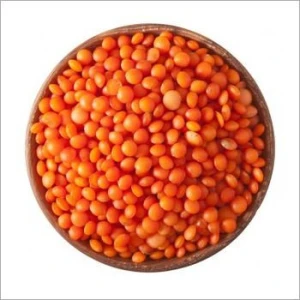 Bulk Lentils Supplier | Red, Green & Yellow Lentils for Food Industry