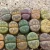 Import 1-1.2cm low price wholesale new cactus succulent plants living stones lithops plant from China