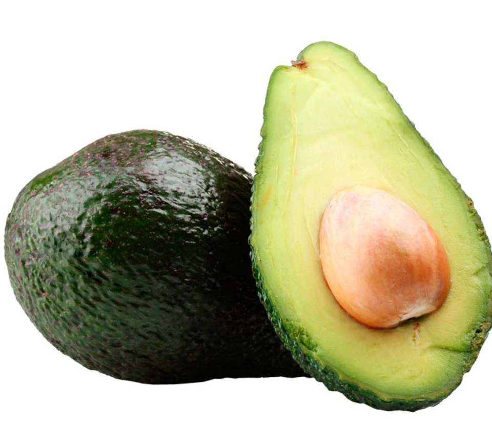 100% Natural Fresh Green Avocado  in low price