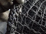 10ft * 50ft 1" 2" inch Nylon knotlted netting for Shellfish aquaculture, aquaculture shellfish net
