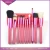 Import 11pcs Multipurpose Foundation bling makeup brush bb cream brush with cylinder case packaging from China