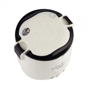 1L Electric Mini Rice Cooker Multifunctional Portable Cookers Used In House 220V Or Car 12V Truck 24V Used as Lunch Box