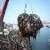Import 2018 harvest Straight cut machine dried laminaria kelp from China