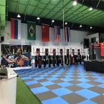 2020 Popular Martial Arts Mats For Taekwondo Cushion In Taekwondo Soft Mats