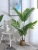 Import 2020 Wholesale Artificial Plants New Popular Artificial Plants Trees Faux Bonsai Pot Plants Artificial Plant from China