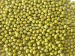 2021 Green mung bean