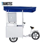 208l AC/DC Powered Solar Powered Deep Chest Solar Freezer 12V Fridge Freezer ice cream tricycle
