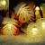Import 20LED pine nut Dry battery Transparent box LED string light room decoration from China