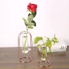4084 rose gold factory wholesale table decor smaller water planting metal wire frame glass vase