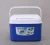 Import 5L Mini Portable Plastic Fish Ice Cool Box Frozen Cooler Box For Camping Picnic BBQ from China