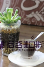 Agglomerated instant coffee powder